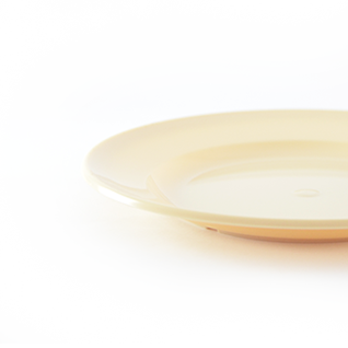 Oval Plastic Plates